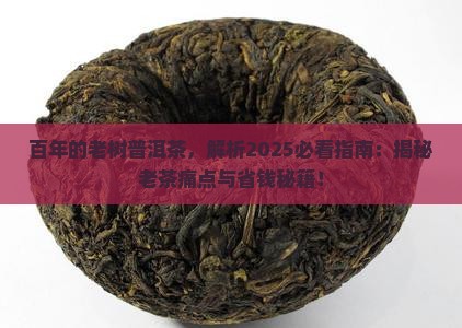 百年的老树普洱茶