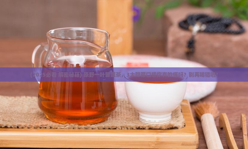 原野一叶普洱茶