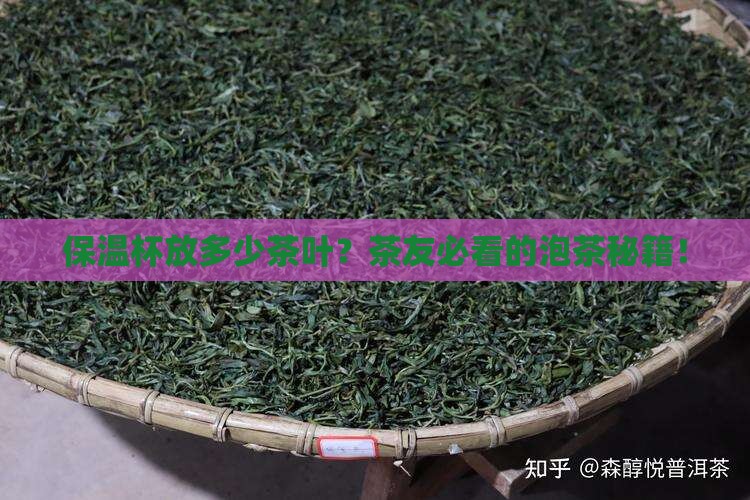 保温杯放多少茶叶