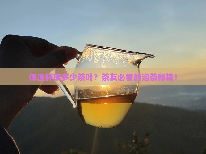 保温杯放多少茶叶
