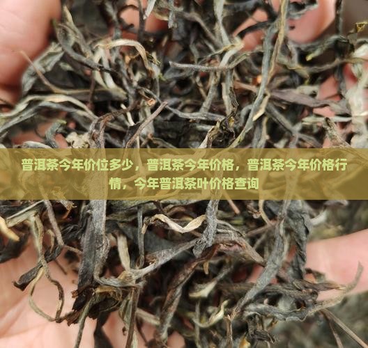 普洱茶今年价位多少