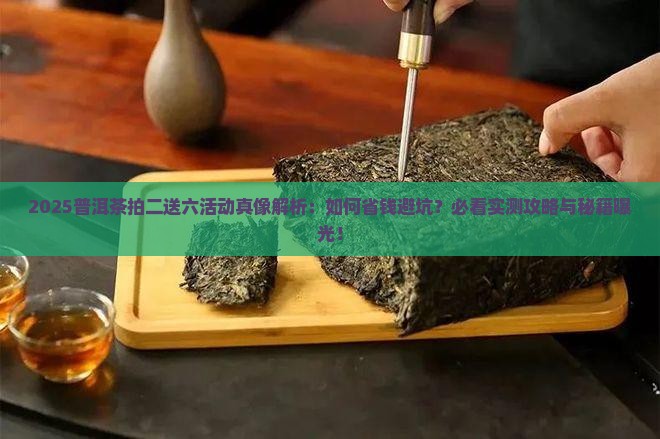 拍二送六普洱茶