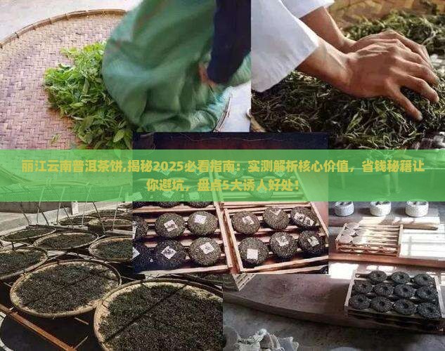 丽江云南普洱茶饼