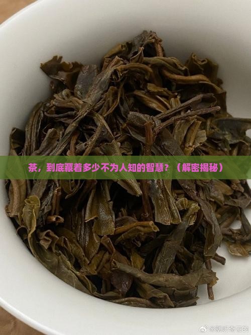 关于茶的谚语与名言