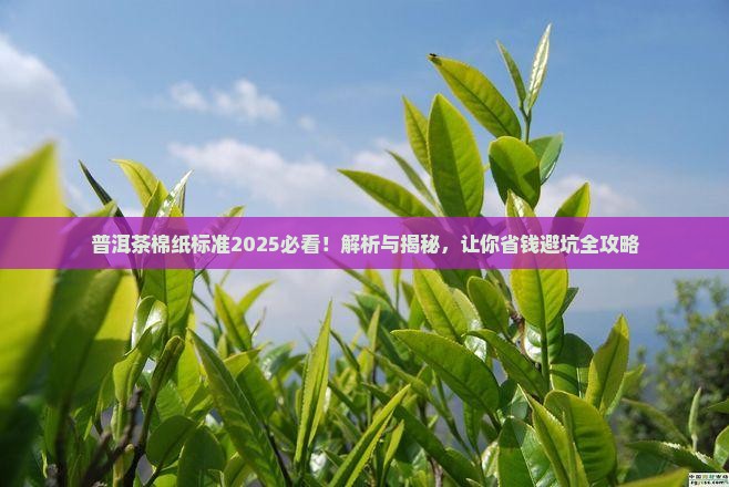 普洱茶棉纸标准