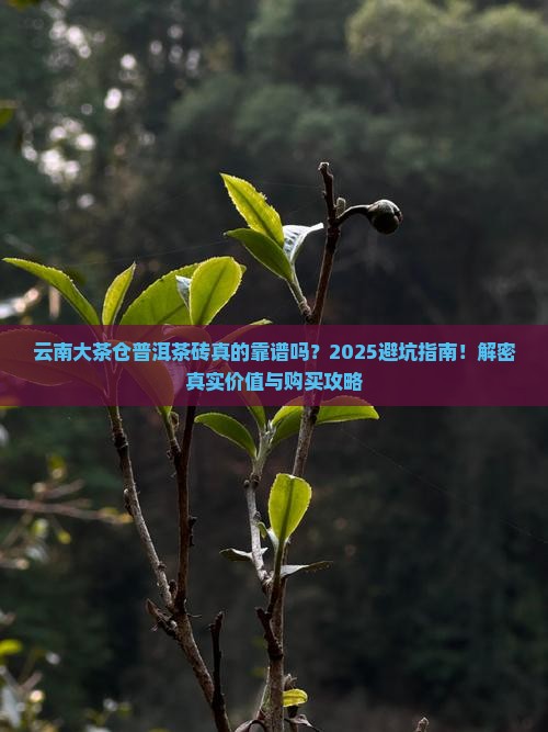 云南大茶仓普洱茶砖