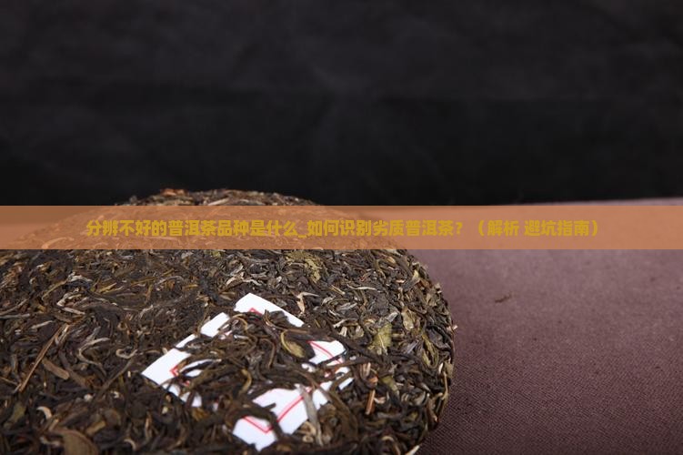 分辨不好的普洱茶品种是什么
