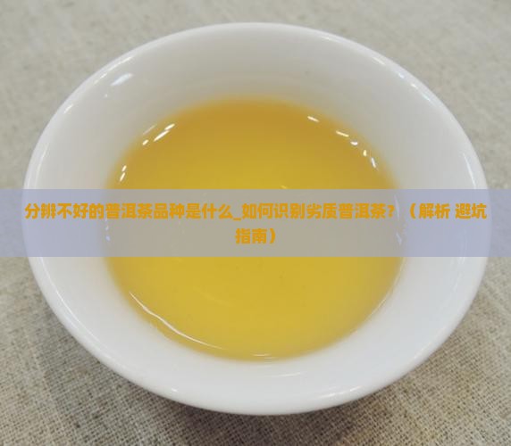 分辨不好的普洱茶品种是什么