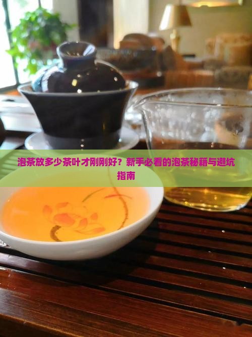 泡茶放多少茶叶比较好