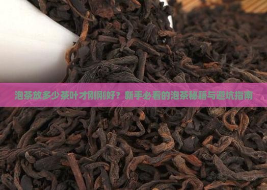 泡茶放多少茶叶比较好