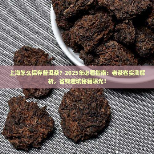 上海怎么保存普洱茶