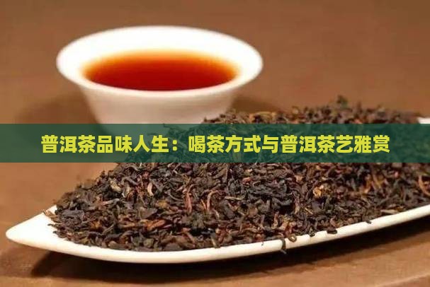 雅赏茶礼普洱茶品味人生