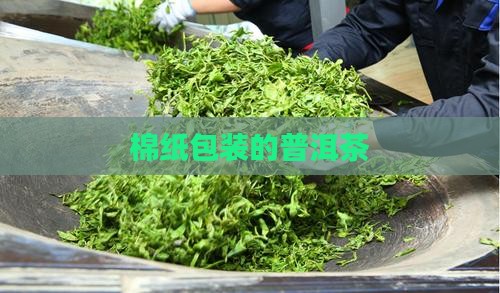 包装使用普洱茶