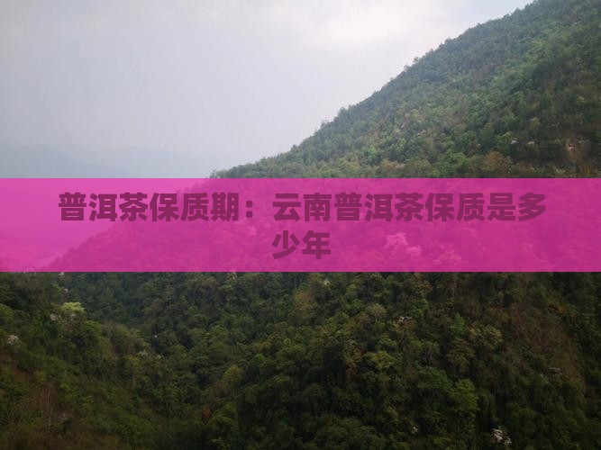 云南普洱茶年限是多少年