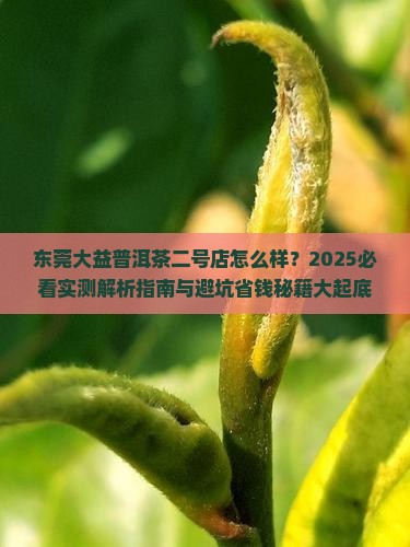 东莞大益普洱茶二号店