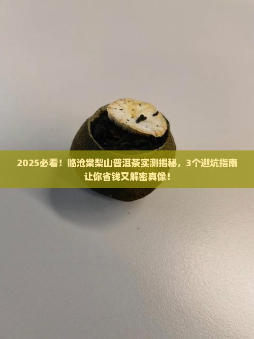 临沧棠梨山普洱茶