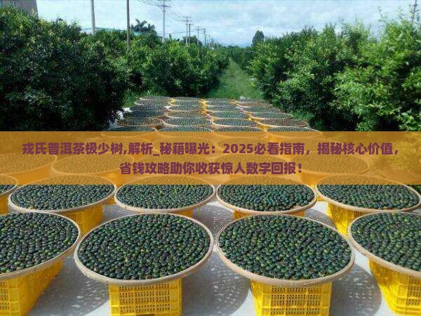 戎氏普洱茶极少树