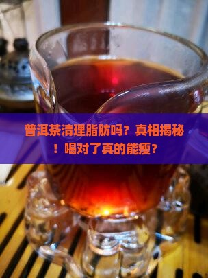 普洱茶清理脂肪吗