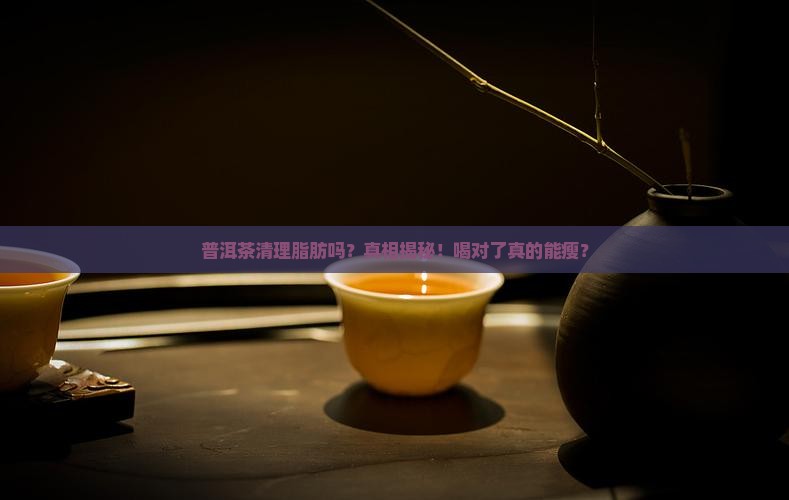 普洱茶清理脂肪吗