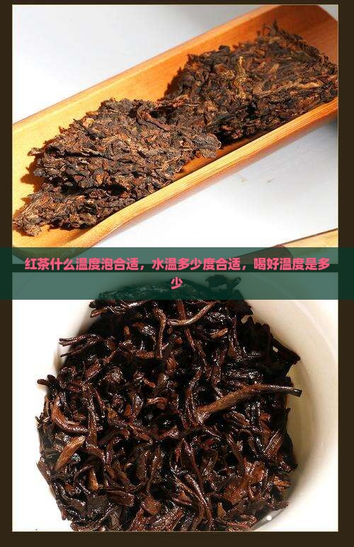 红茶什么温度泡合适