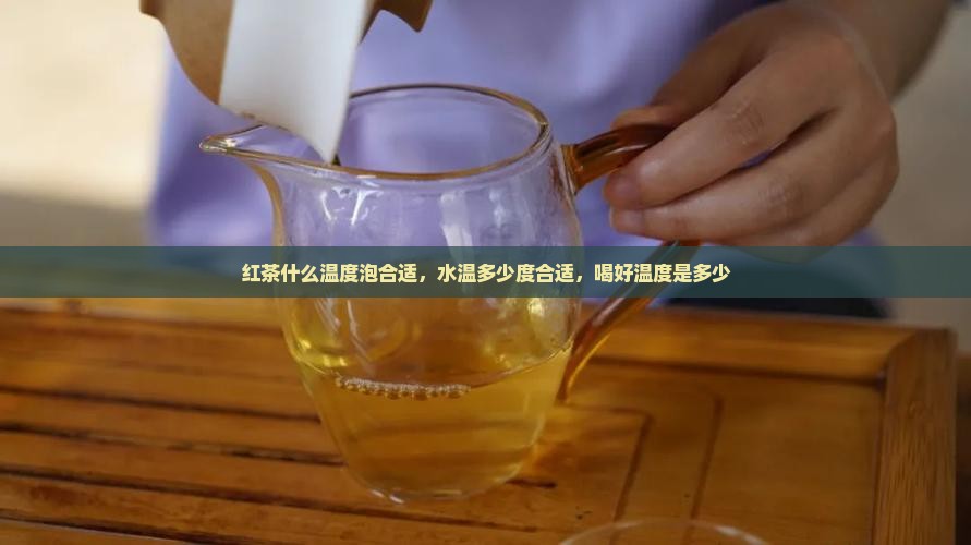 红茶什么温度泡合适