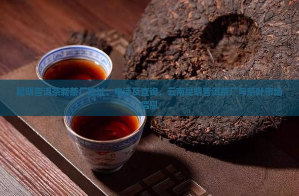 昆明普洱茶新茶厂地址