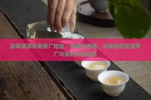 昆明普洱茶新茶厂地址