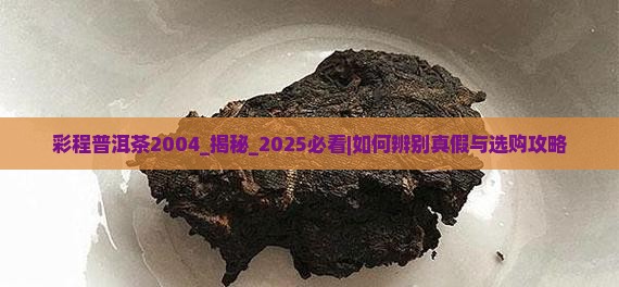彩程普洱茶2004