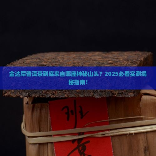 金达摩是什么山头的普洱茶
