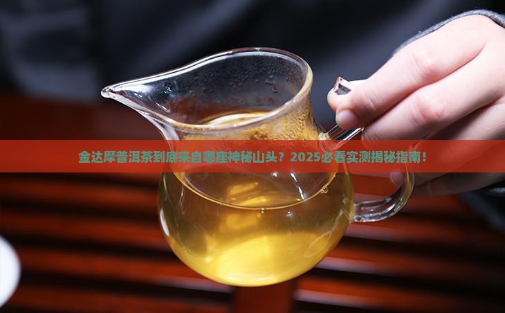 金达摩是什么山头的普洱茶