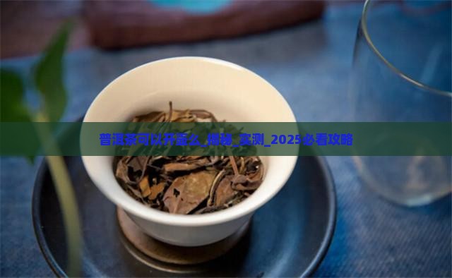 普洱茶可以开壶么