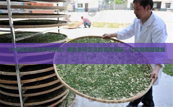 10年陈茶叶功效与作用
