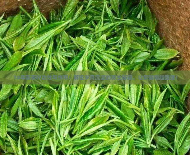 10年陈茶叶功效与作用
