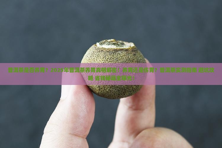 普洱茶是否养胃