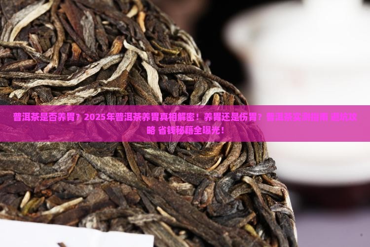 普洱茶是否养胃