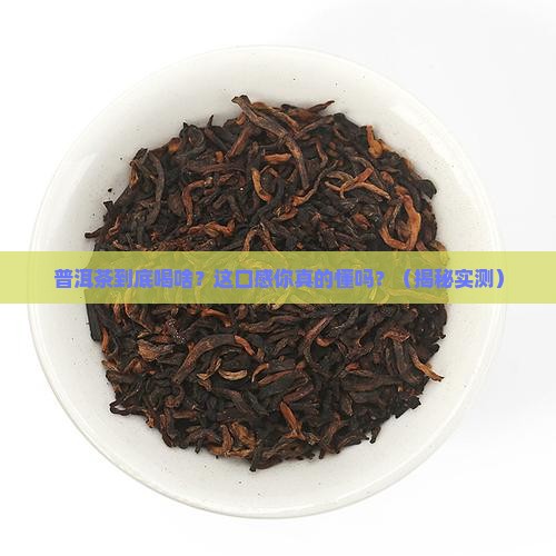 普洱茶喝什么看什么口感