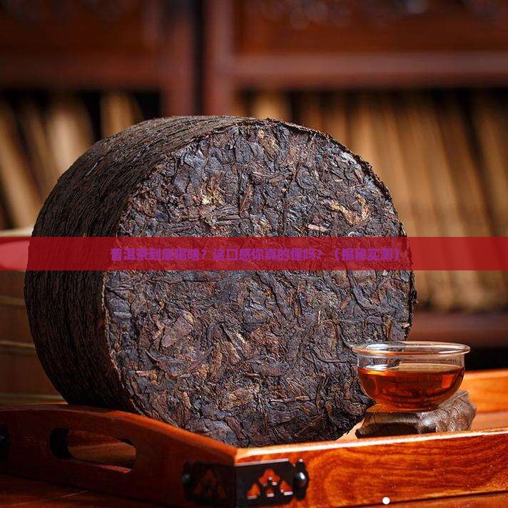 普洱茶喝什么看什么口感