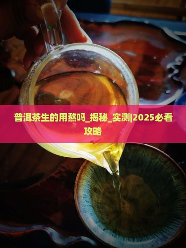 普洱茶生的用熬吗