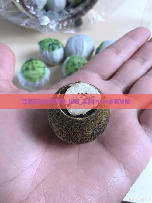 普洱茶生的用熬吗