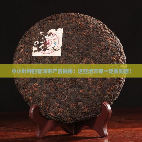 中小叶种的普洱茶产区