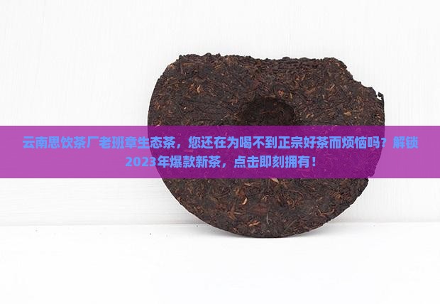 云南思饮茶厂老班章生态茶