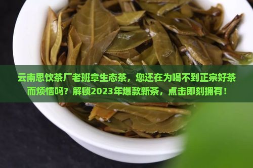 云南思饮茶厂老班章生态茶