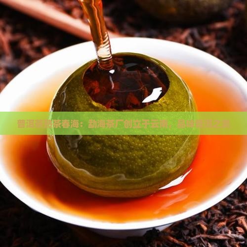 普洱茶熟茶春海