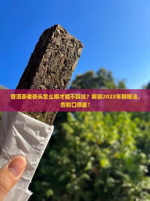 普洱茶老茶头的喝法