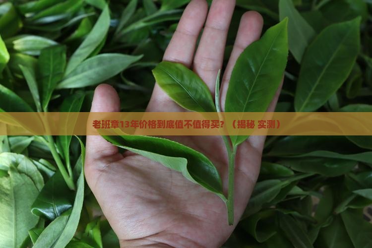 老班章13年价格