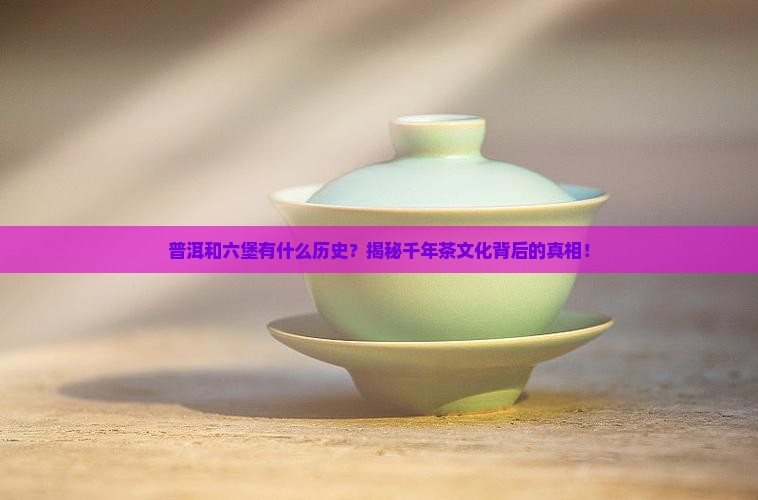 普洱和六堡的历史