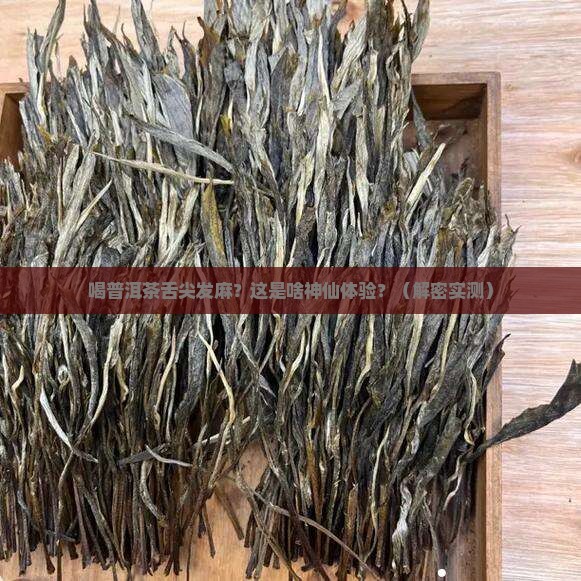 喝普洱茶舌尖有叮的感觉
