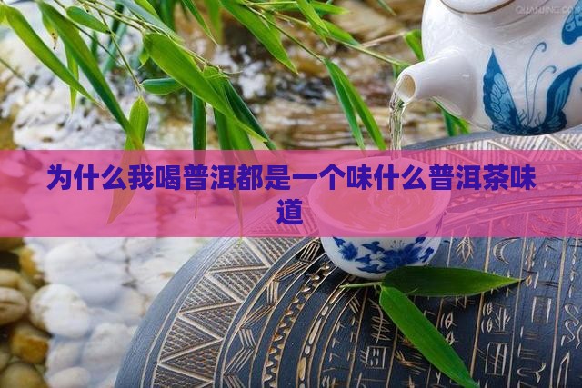 为什么我喝普洱都是一个味