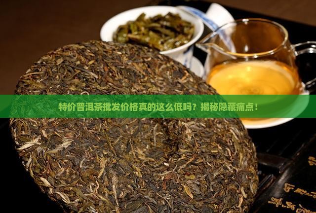 特价普洱茶批发价格