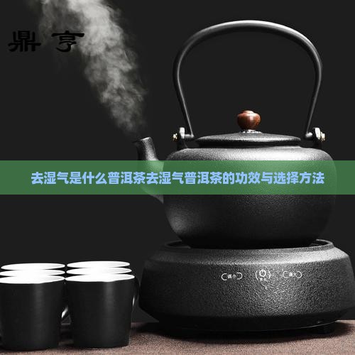 去湿气是什么普洱茶